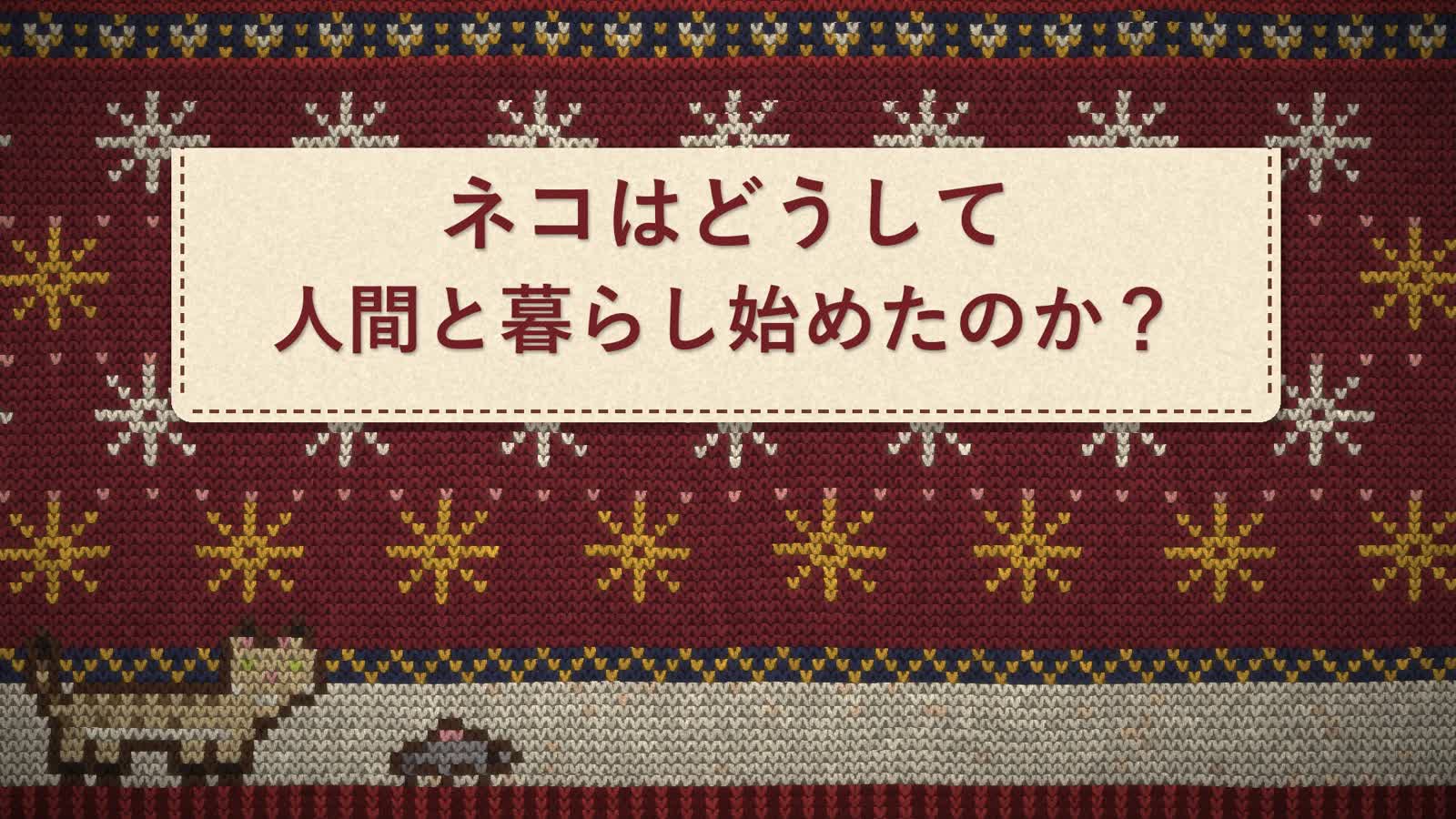 Opus 5.5 Animation PoC：38：Knit