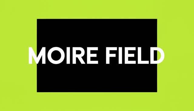 62 MOIRE FIELD:モアレの干渉模様