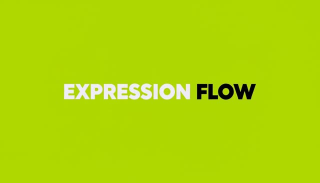 47 EXPRESSION FLOW:表情の連続変化