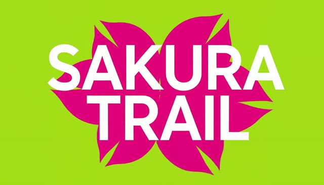 77 SAKURA TRAIL:軌跡から桜の花びらへ